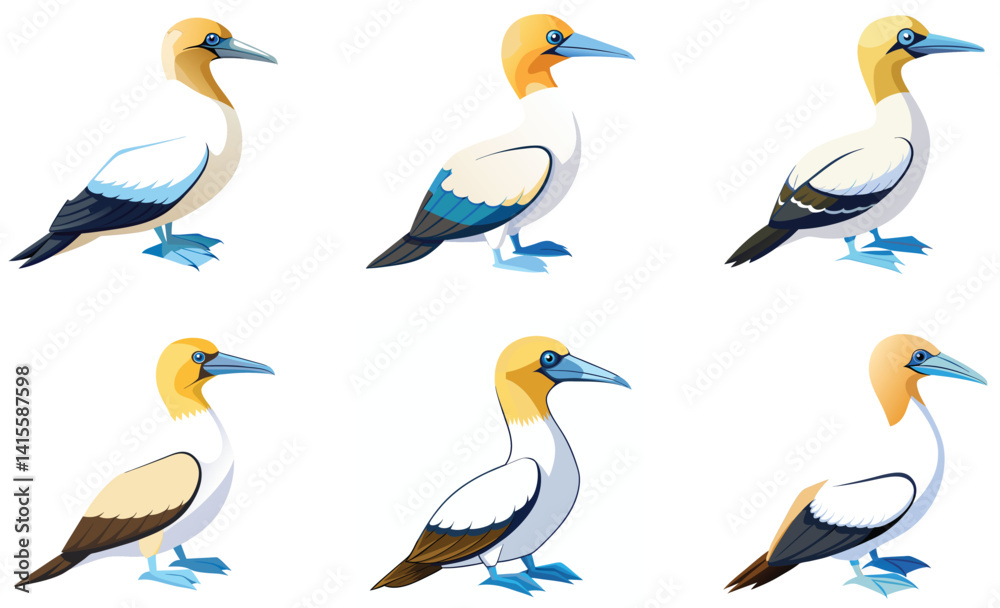 Set of Gannet bird isolated on white background Set of Gannet bird isolated on white background