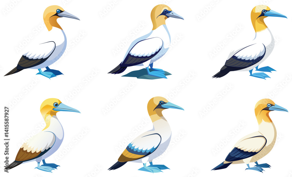Obraz premium Set of Gannet bird isolated on white background