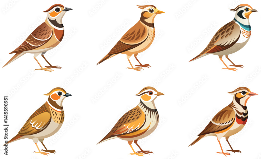 Set of Lark bird isolated on white background Set of Lark bird isolated on white background