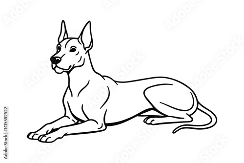 Black and white line art drawing of a Great Dane lying down with long legs.eps