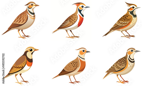 Set of Lark bird isolated  on white background