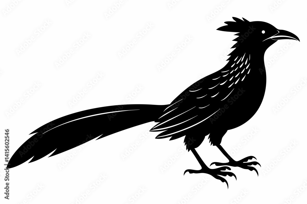 Naklejka premium Greater coucal silhouette black vector