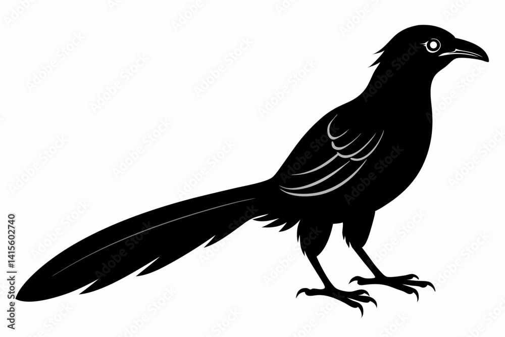 Fototapeta premium Greater coucal silhouette black vector