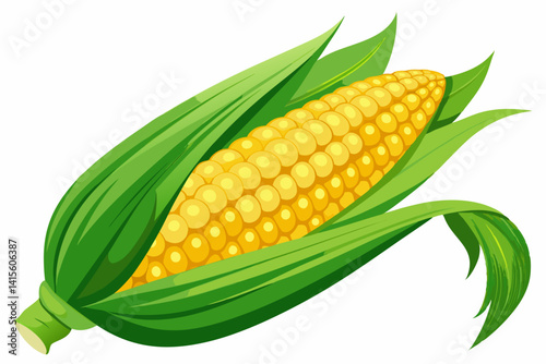 Fresh Corn on the Cob with Green Husks and Golden Kernels – High-Resolution Food Photography Isolated on White Background.