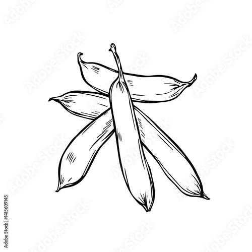 Illustrated green pea pods stacked on a white background  