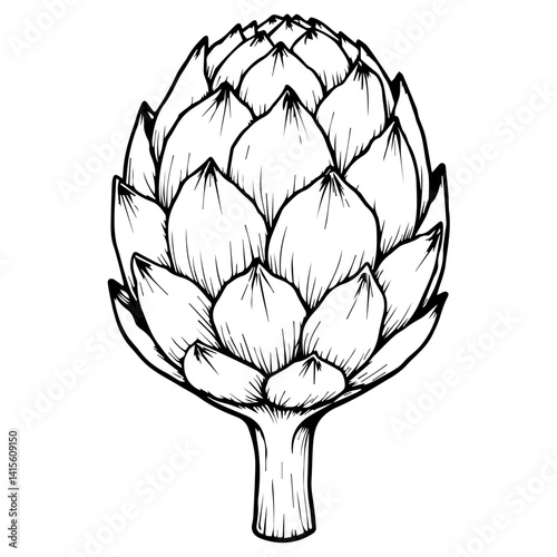 Artichoke illustration in black and white  