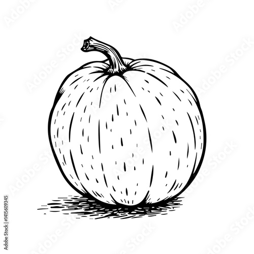 Hand-drawn pumpkin illustration in black and white  