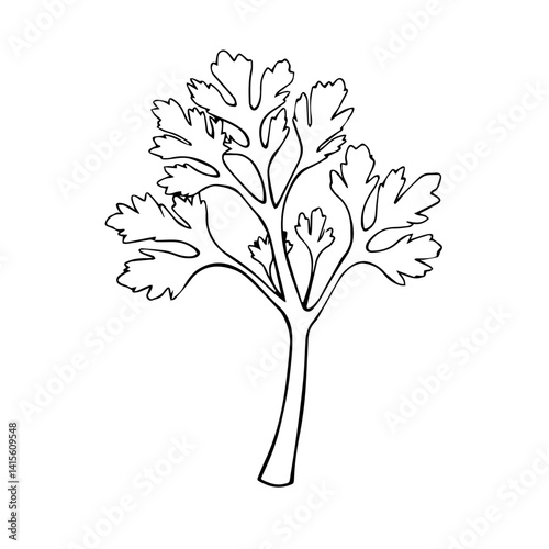 Outline of a Celery Plant in Simple Style  