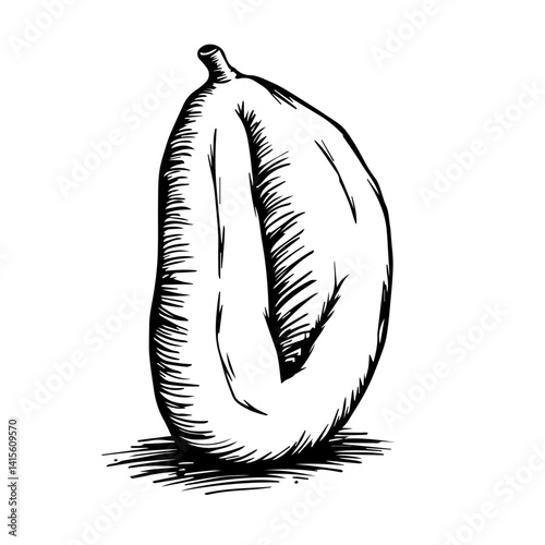 Artistic illustration of a papaya fruit in black and white  