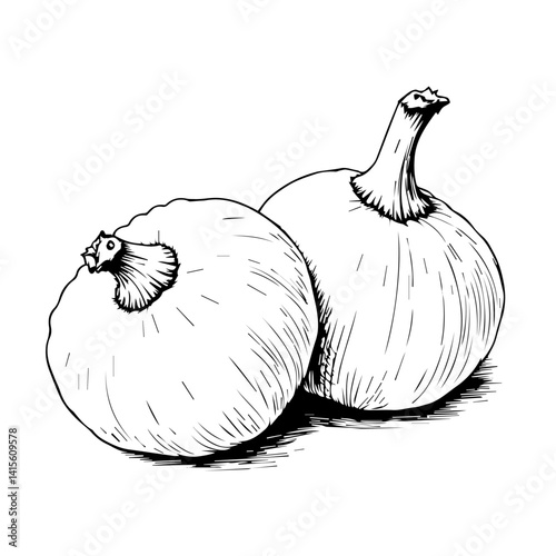 Sketch of two ripe pumpkins with detailed shading  