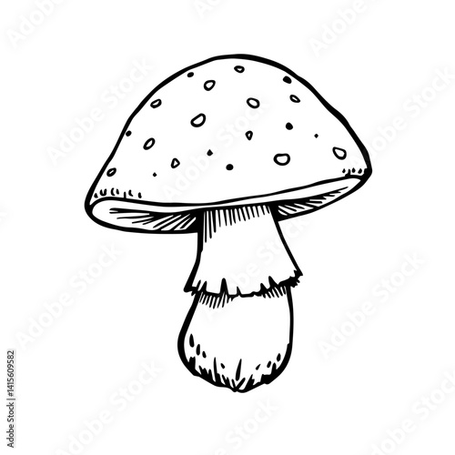 Hand-drawn mushroom illustration in black and white  
