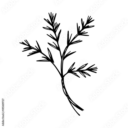 Black silhouette of a sprig of herb on a white background  
