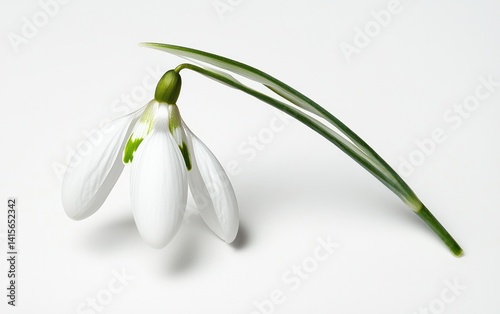 Single snowdrop flower with green leaves levitates on a solid white background. The flower is slightly tilted, showcasing its delicate white petals and subtle green accents. Soft lighting enhances