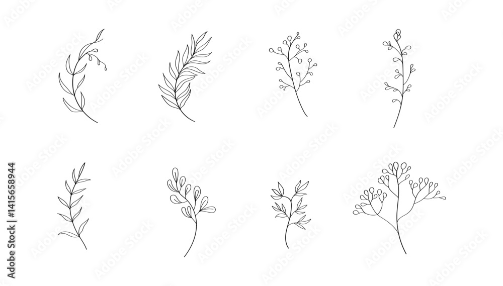 Fototapeta premium A hand-sketched botanical element with light, airy strokes and natural flow.