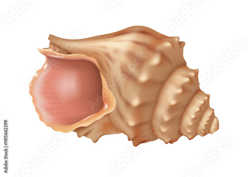 Realistic digital illustration of Triton seashell in soft brown colors showing natural beauty and intricate patterns on white backdrop ideal for marinethemed decor with copy space
