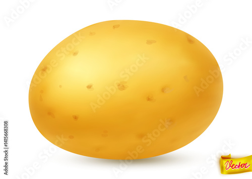 High-quality vector illustration of a fresh yellow potato with natural texture and soft shadow. Isolated on white background. Ideal for food packaging, farming, cooking, and healthy eating concepts