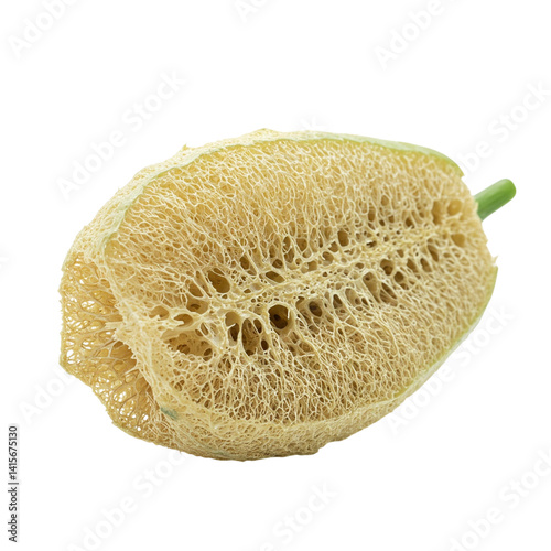 A delicate loofah halved, revealing its intricate, honey-colored network of fibers against a pure white backdrop.