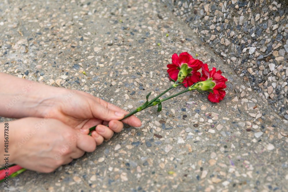 Memory Day. Human hands lying two red carnations on a marble monument