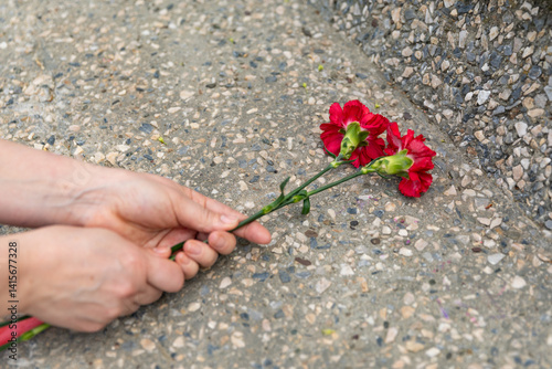 Obraz na płótnie Memory Day. Human hands lying two red carnations on a marble monument w salonie