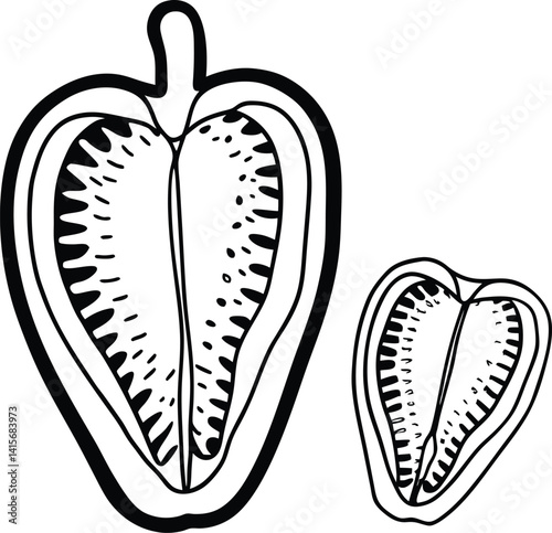 Mangrove Seed Pod Silhouette Vector Vol 2, mangroves,  natural art, environment, vector art, design