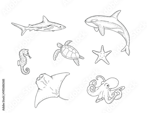 collection of hand drawn ocean animal, whale, shark, starfish, octopus, vector illustration 