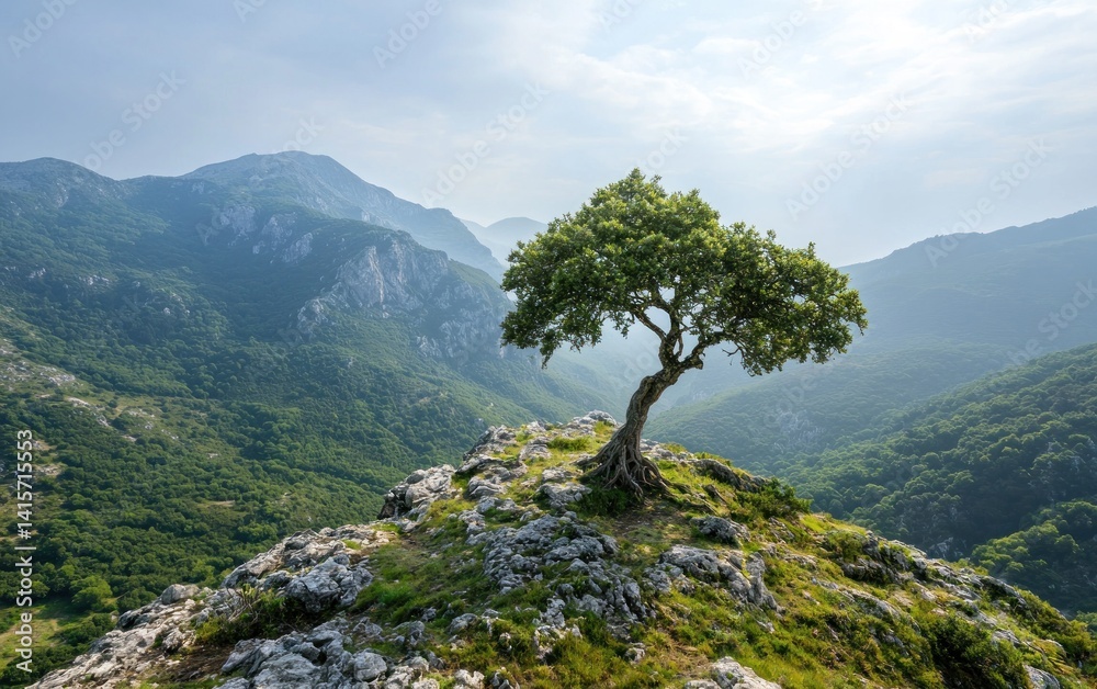 Fototapeta premium Lone tree clinging to a rocky mountain peak, overlooking a vast, verdant valley under a bright sky. The scene evokes resilience and serenity