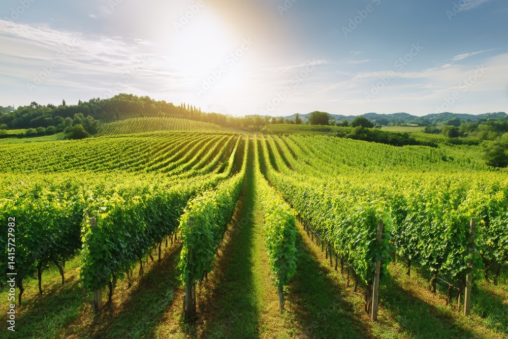 Lush green vineyard with rows of grapevines glowing under warm sunlight and clear blue sky Generative AI Lush green vineyard with rows of grapevines glowing under warm sunlight and clear blue sky Generative AI
