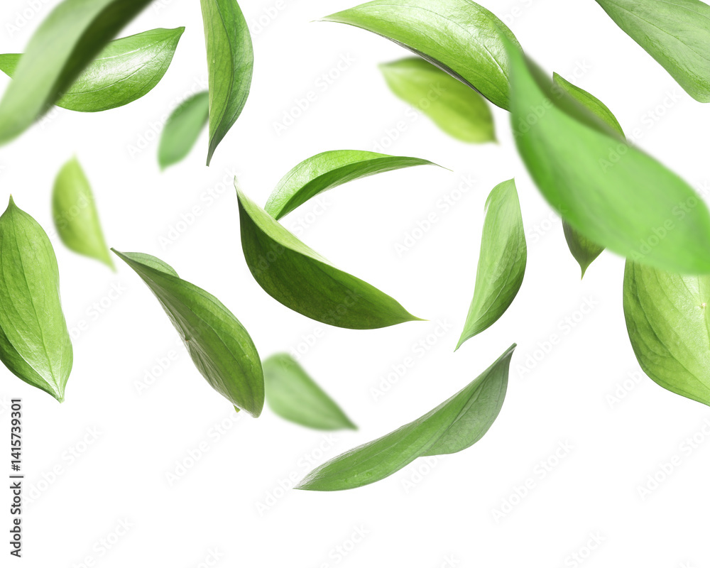 Fototapeta premium Many fresh green leaves flying on white background