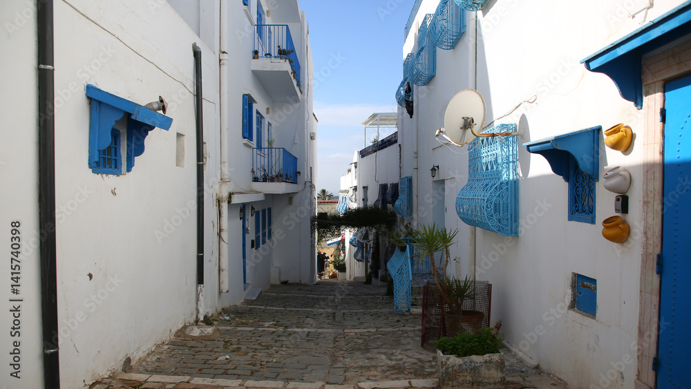 Fototapeta premium Sidi Bou Said, Túnez