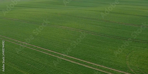 Aerial photo of large green agricultural field with tractor tracks. Perfect for backgrounds, farming concepts, sustainability and agrotech themes. photo