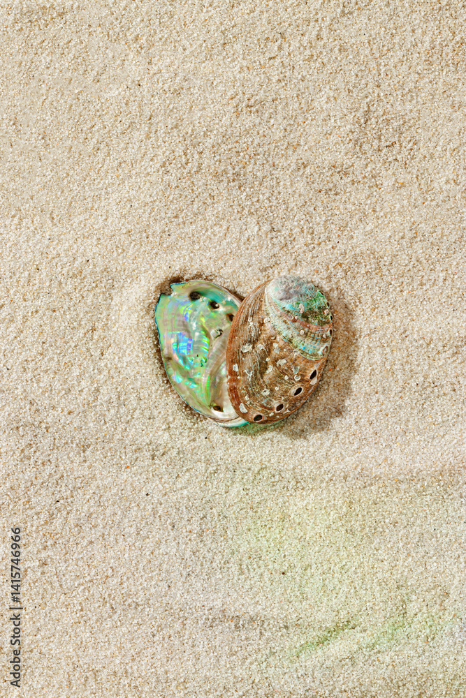 Seashells abalone as heart shape on Smooth Sandy background, shell on fine sand, minimal and peaceful beach-inspired composition under soft light, love nature and sea concept, neutral top view