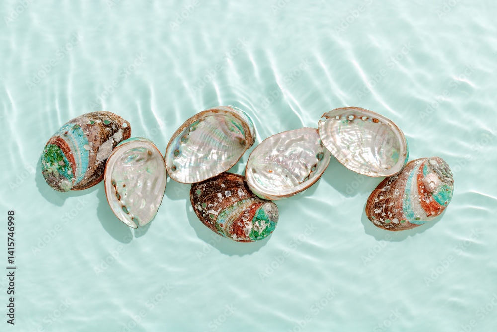 Colored shells floating on waves green blue sea water with sun flare. Natural textured Seashells of natural bright and shimmering at sunlight, Minimal aesthetic still life photo, summer vibes