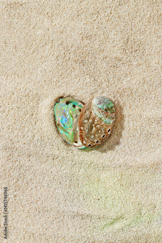 Seashells abalone as heart shape on Smooth Sandy background, shell on fine sand, minimal and peaceful beach-inspired composition under soft light, love nature and sea concept, neutral top view