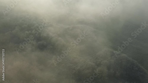 Frosted trees disappear under the mist in Europe, in France, in the Centre region, in Loiret, near Orleans, in winter, on a sunny day. 
