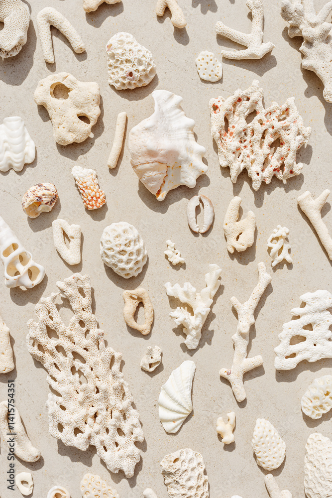 Sea shells, corals, sea stones with sun shadow at sunlight, nature photo of white shell and coral pieces scattered on light beige concrete, minimal monochrome vertical pattern, neutral pastel tones