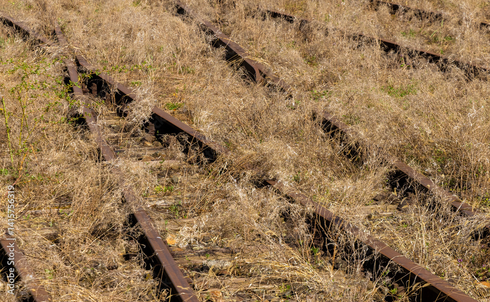 Old abandoned railway lines overgrown with grass