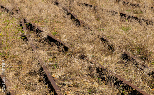 Obraz na płótnie Old abandoned railway lines overgrown with grass w salonie