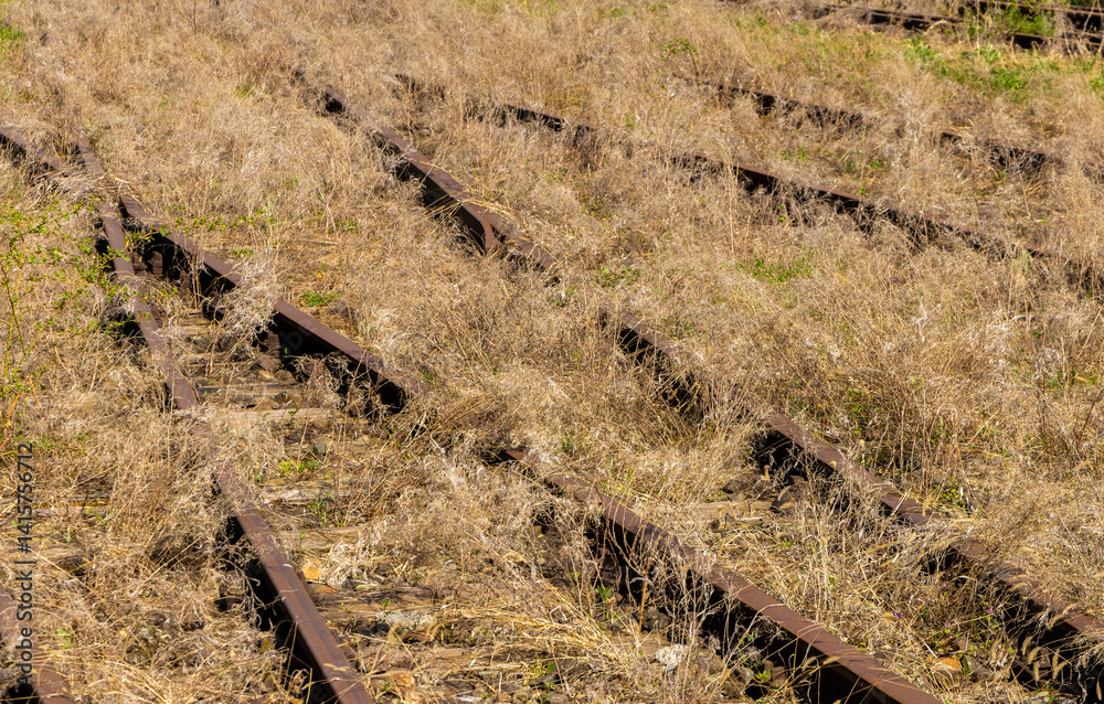 Abandoned railway lines with grass growing over them