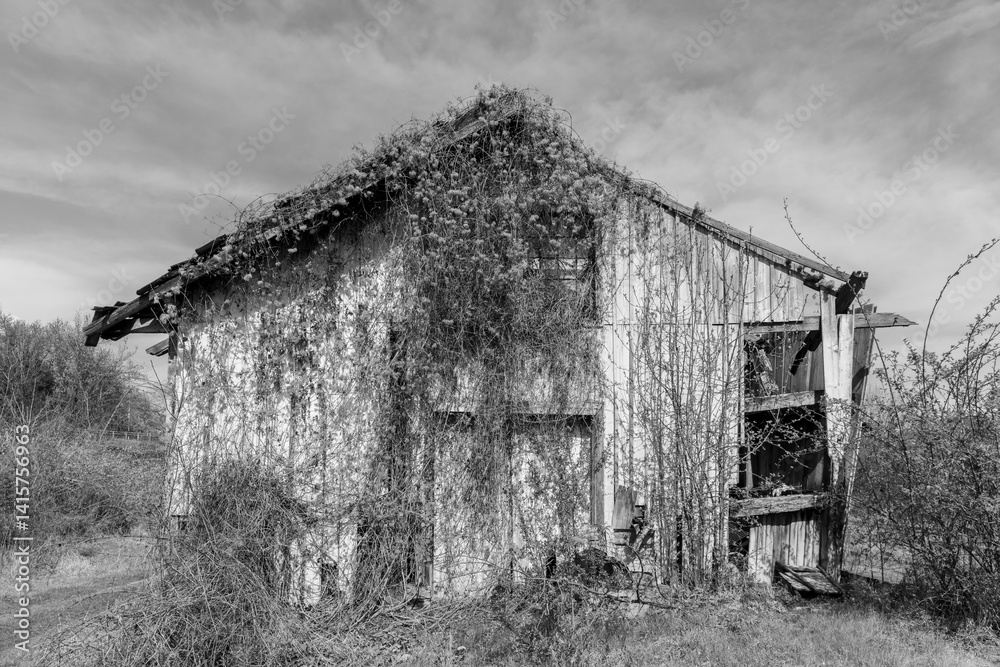 An old abandoned wooden farm house in black and white