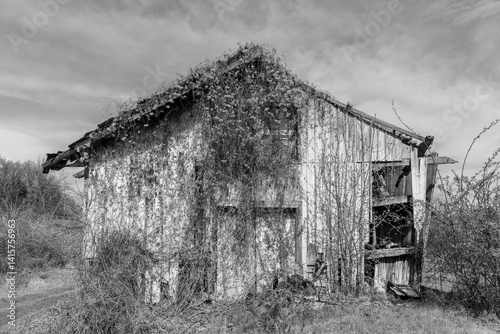 An old abandoned wooden farm house in black and white
