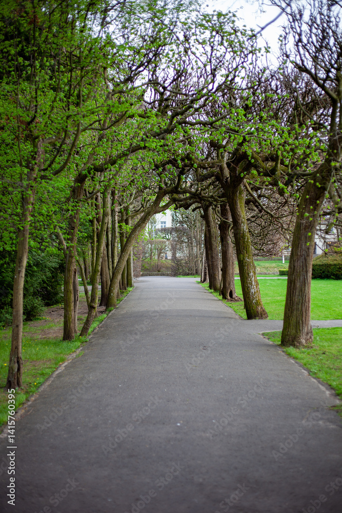 alley in the park alley in the park