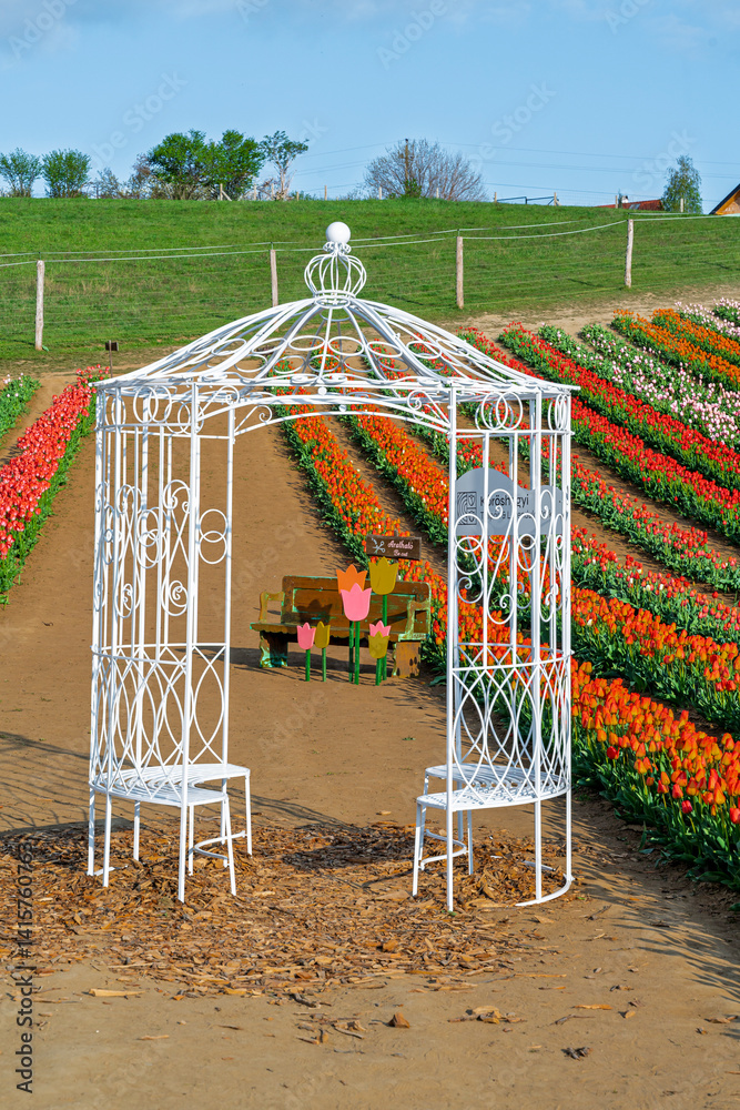 Beautiful spring garden. beautiful tulips garden with many blooming flowers.