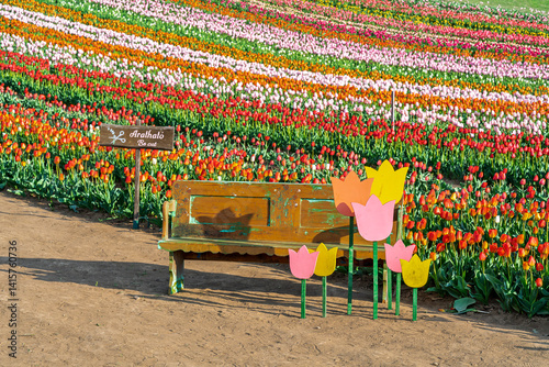 Obraz na płótnie Beautiful spring garden. beautiful tulips garden with many blooming flowers. w salonie