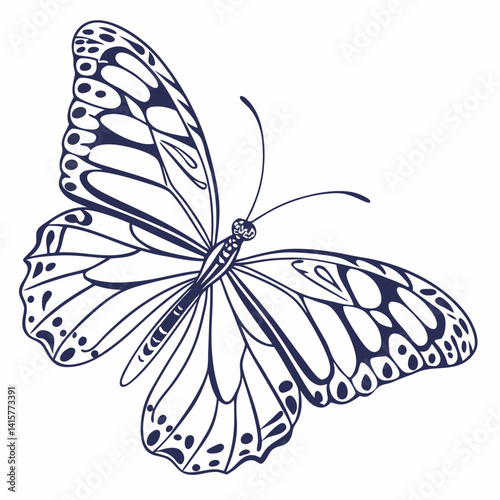 Blue Tiger Butterfly – Patterned Line Wing