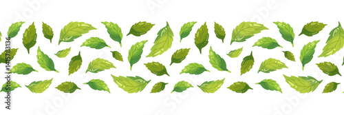 Mint leaves horizontal seamless pattern isolated on white background, tea leaf for long banner, eco package, spring summer fabric fresh print, balm health pharmacy, botanical design, ecology wrapping