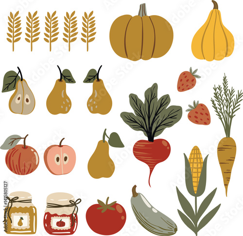 Vector illustration set in flat cartoon style with pumpkins, pears, apples, strawberries, wheat, carrots, zucchini, tomatoes, and beets. Isolated on white background. Cute and colorful food elements.