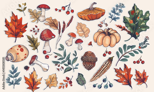Hand drawn vector set autumn elements. Fall leaves, mushrooms, maple, acorns, berries, oak, pumpkins. Harvest time. Colored trendy illustration. Autumn floral stickers
