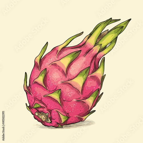 Vintage hand-drawn illustration of pitahaya in Mediterranean line-art style with warm cream background