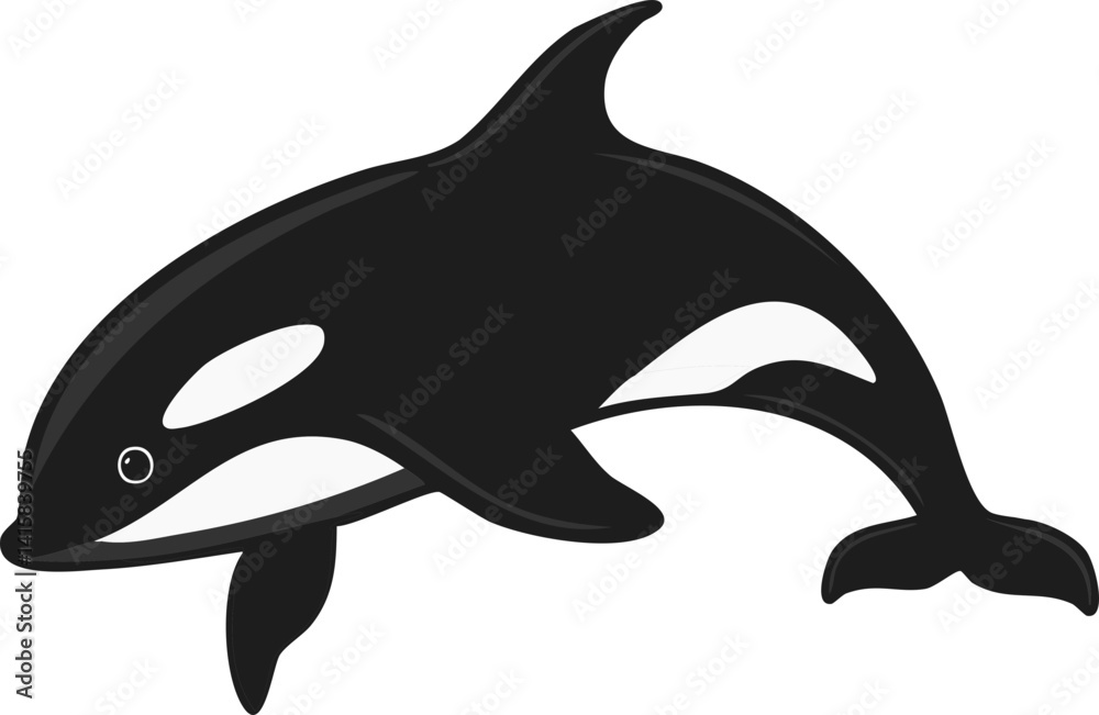 Fototapeta premium 범고래