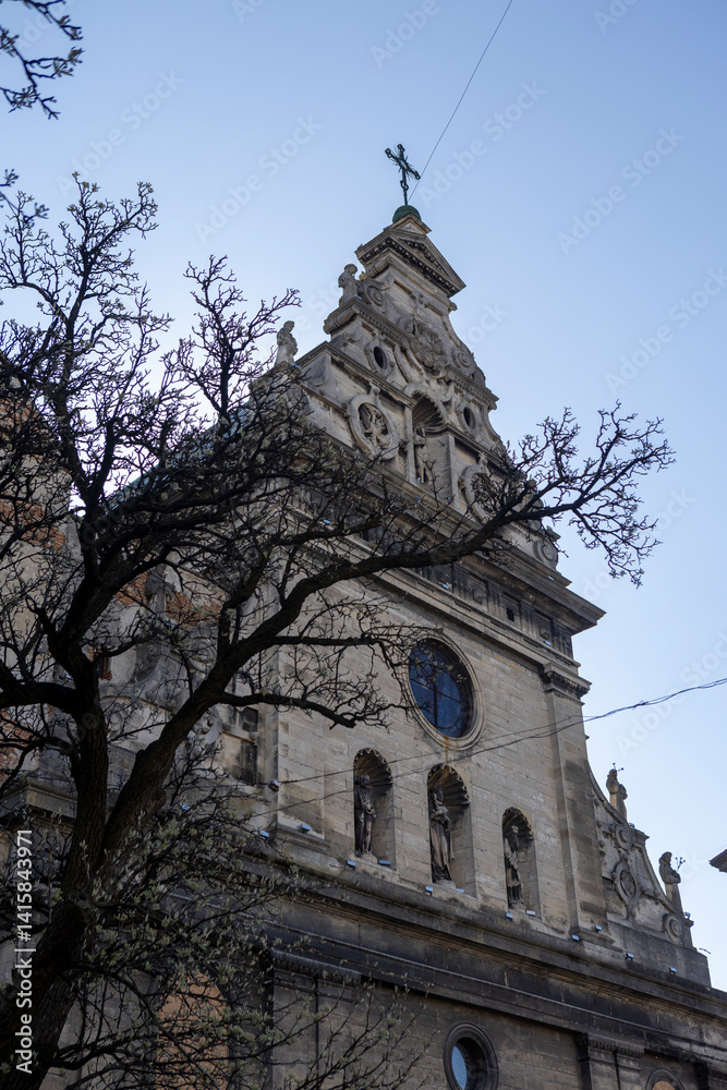 ancient church and tree in lviv